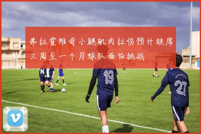弗拉霍维奇小腿肌肉拉伤预计缺席三周至一个月球队面临挑战